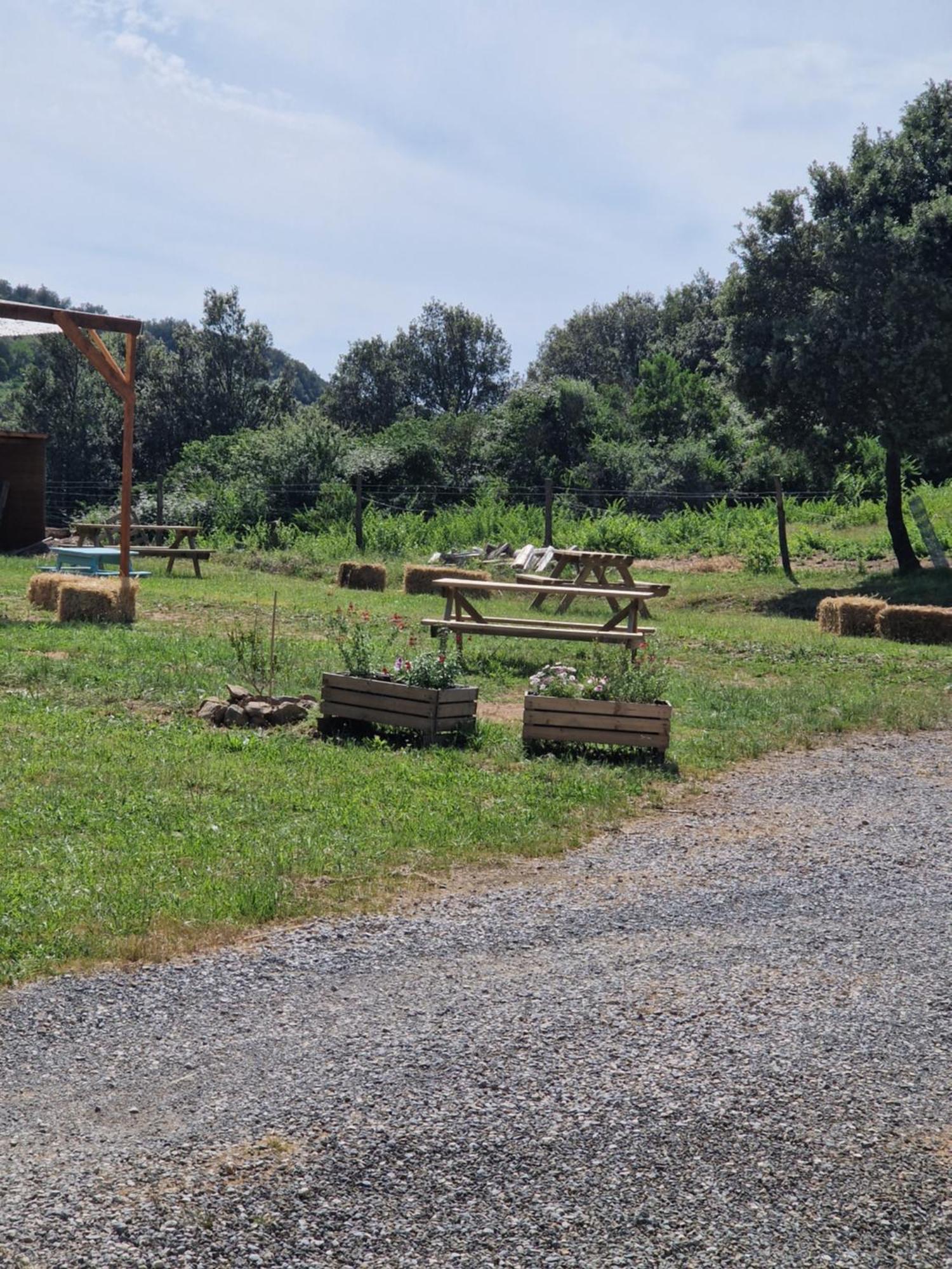 Pleine Nature Ferienhaus Mas-des-Cours